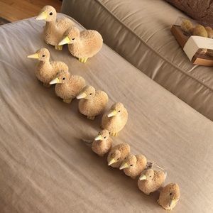 🦆NWT Pottery barn bottle brush ducklings duck set